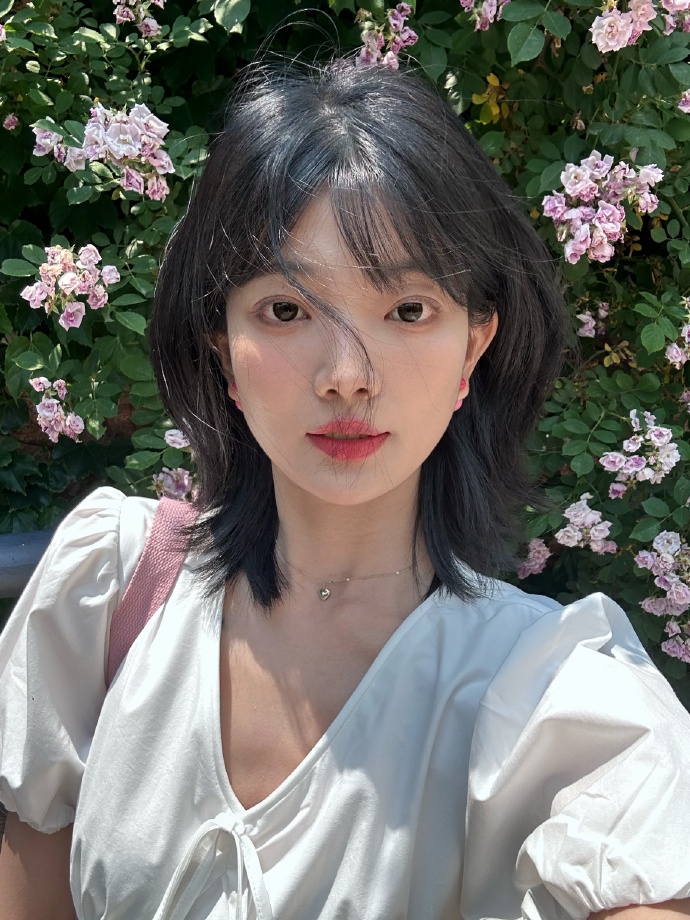 风骚律师