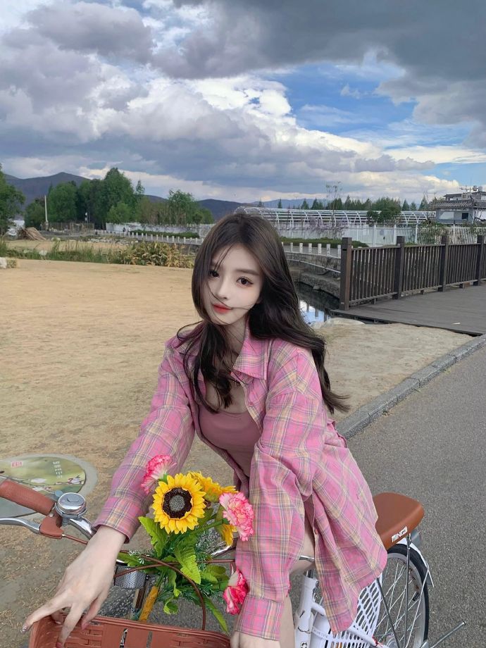 甄嬛传 封面